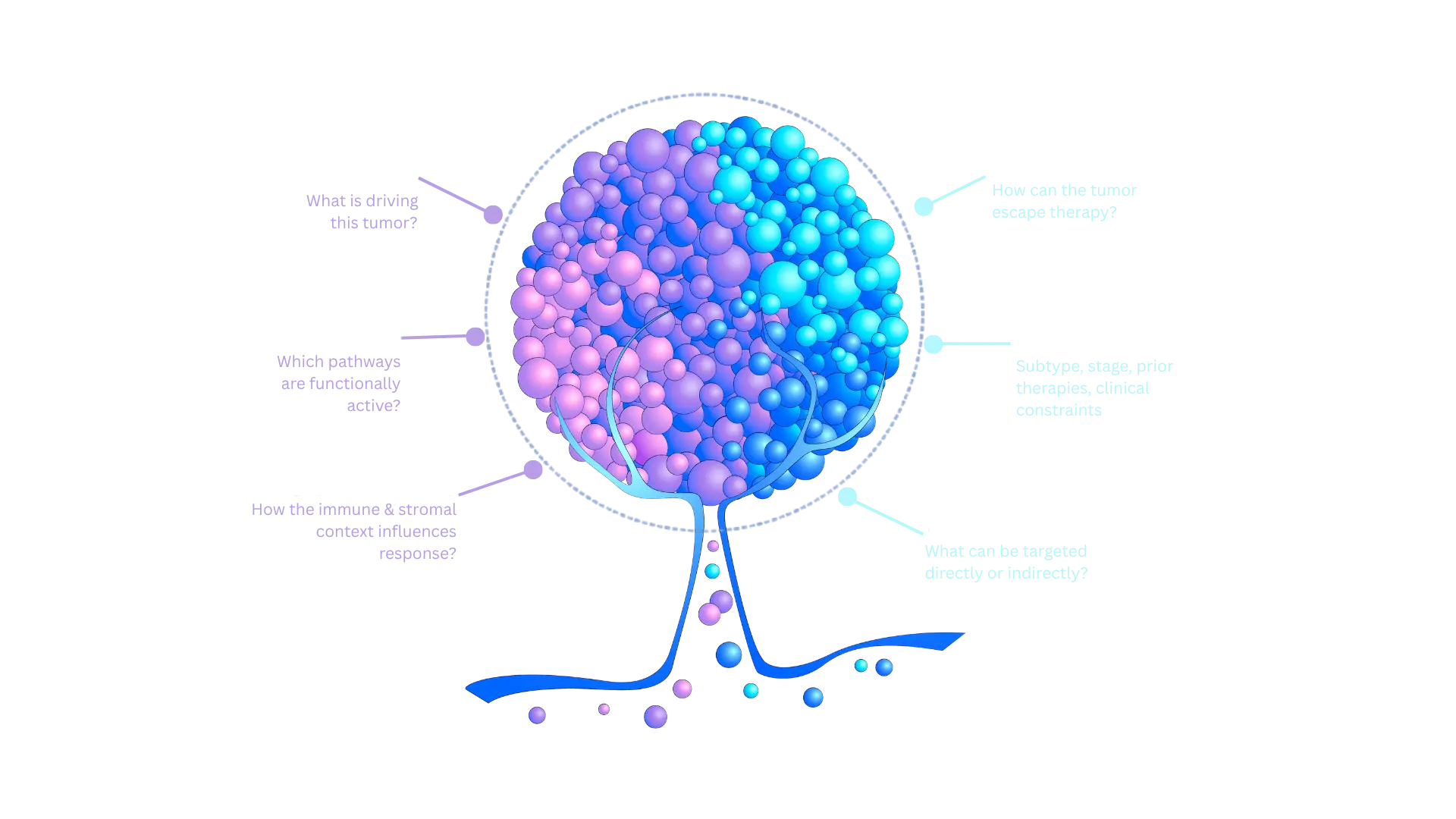 The behind the Cancer Digital Twin